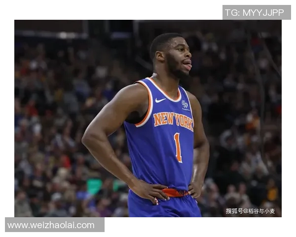 NBA赛场突发小插曲裁判如何冷静处理并保障比赛顺利进行